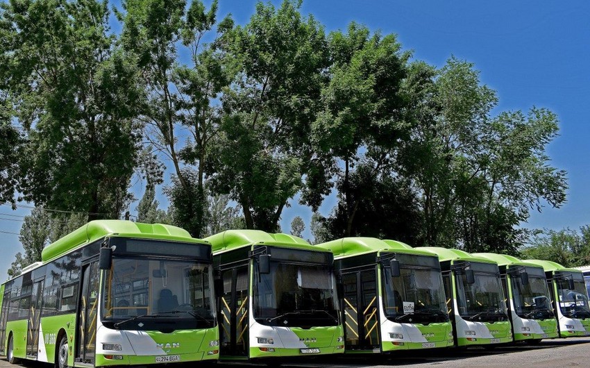 50% of bus fleet for COP29 equipped with green buses