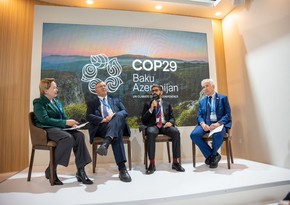 COP29 çərçivəsində “Neft və qaz sənayesində dekarbonizasiyanın sürətləndirilməsi” mövzusunda tədbir keçirilib