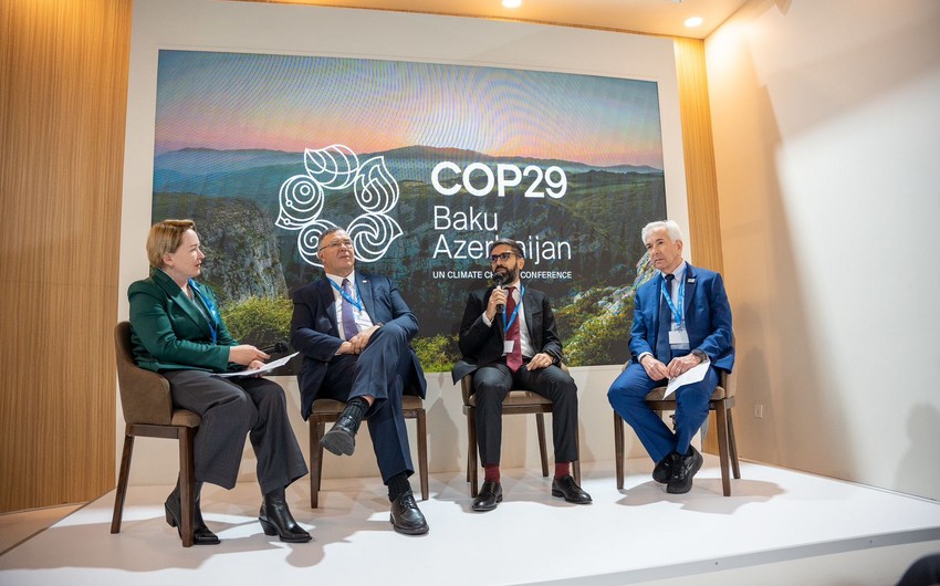 COP29 çərçivəsində “Neft və qaz sənayesində dekarbonizasiyanın sürətləndirilməsi” mövzusunda tədbir keçirilib