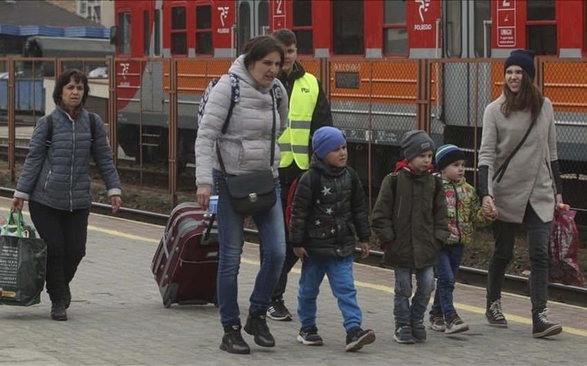 Almaniyaya sığınan azərbaycanlılar Ukraynaya geri qayıdıblar