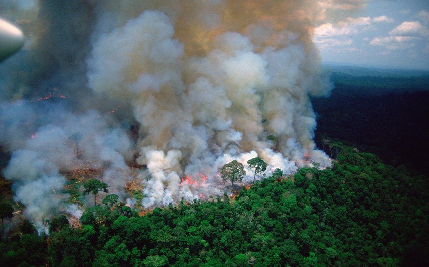 Количество пожаров в Амазонии по сравнению с 2018 годом увеличилось на 85%