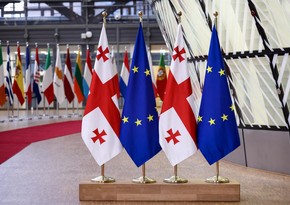 EU mulls suspension of high-level visits to Georgia