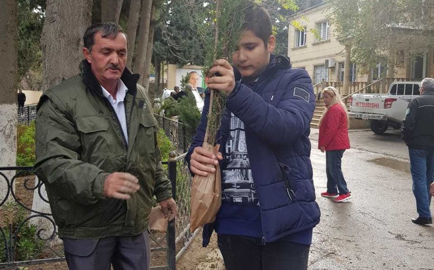 Жителям Баку раздали саженцы для закладки новых зеленых насаждений