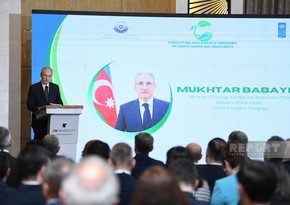 Mukhtar Babayev: Work is underway to prepare new climate strategy