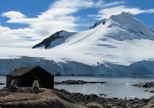 В ООН сообщили о рекордном уменьшении площади морского льда в Антарктике