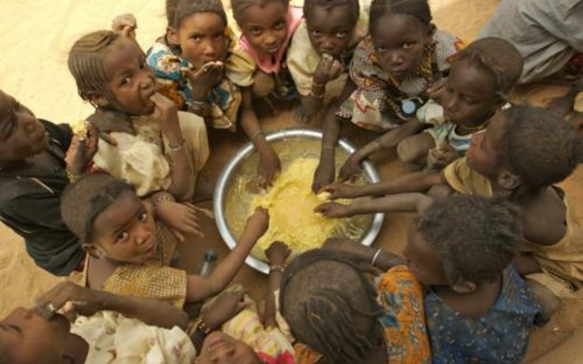 ООН: Мировой голод растет третий год подряд
