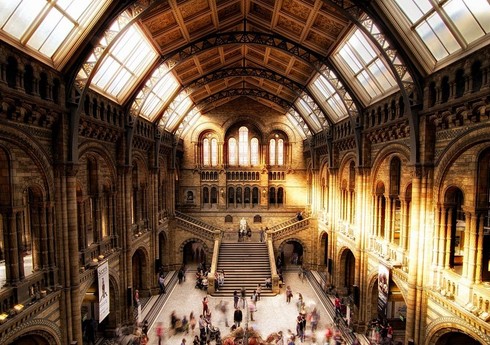Из Британского музея похищено около 2 000 экспонатов