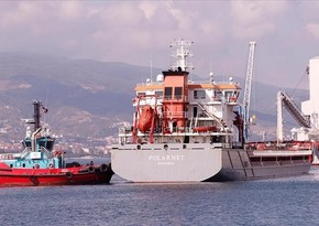 Судно Polarnet из Украины прибыло в порт Дериндже в Турции
