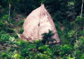 Amazon meşələrində 2,5 min illik yaşayış məskənləri aşkarlanıb