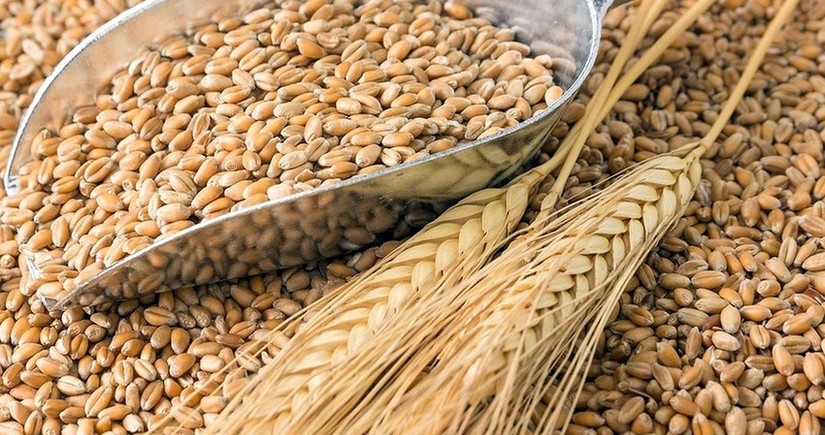 Названа стоимость импорта в Азербайджан зерновых и бобовых из Юго-Восточной Анатолии