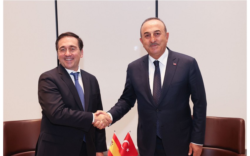 Turkish, Spanish FMs mull situation in Ukraine