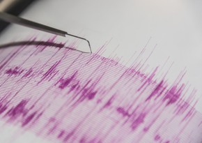В Чили произошло землетрясение магнитудой 5,5