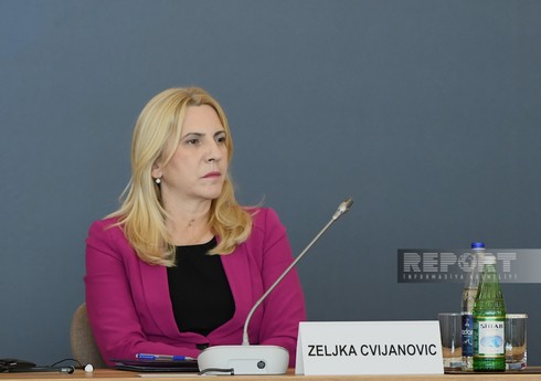 Член Президиума Боснии и Герцеговины: Необходимо изучить причины глобального кризиса