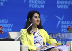 Atsuko Hirose: Major investments needed for just energy transition