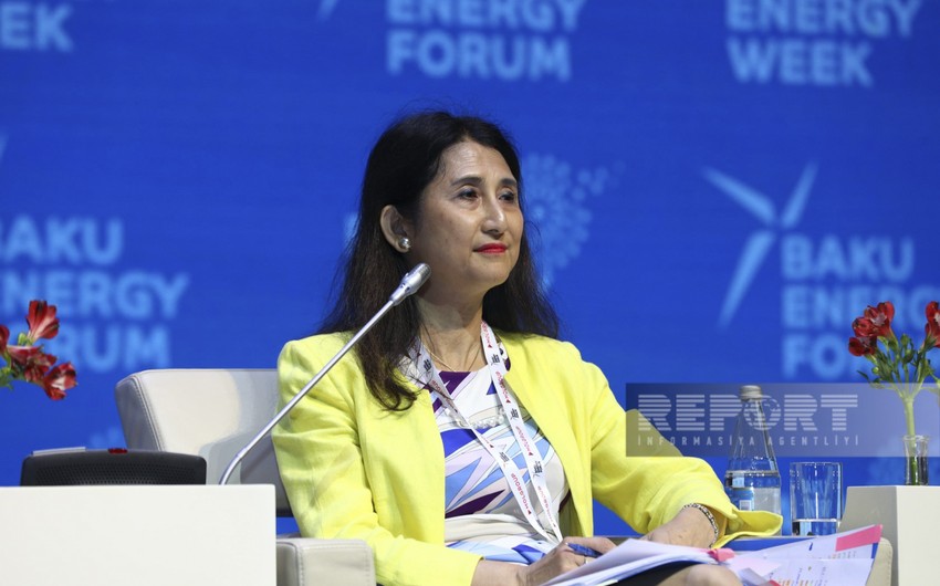 Atsuko Hiroşe: “Ədalətli enerji keçidi üçün böyük investisiyalar lazımdır” 