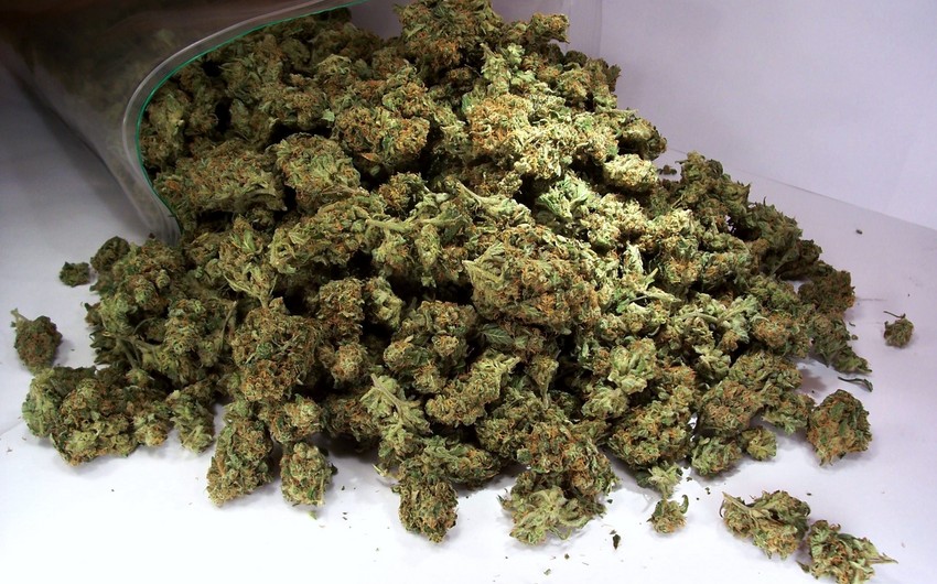 Грузия готовится к экспорту марихуаны