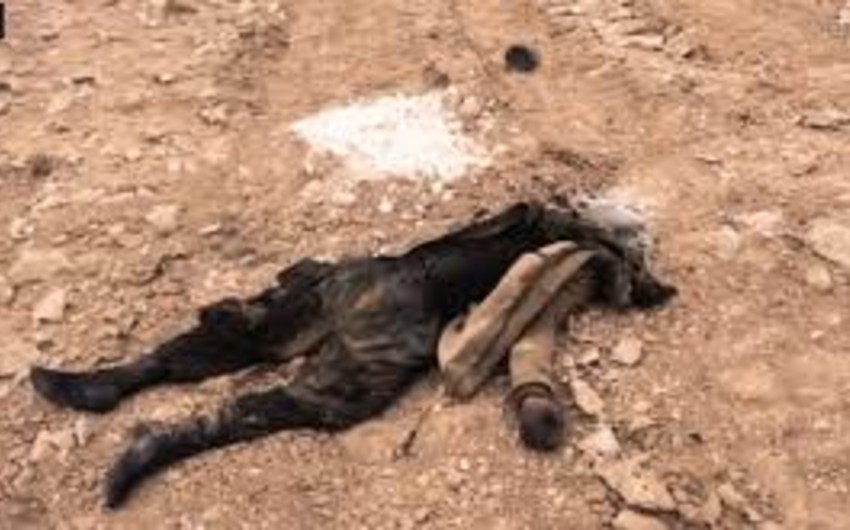 Пентагон сообщил об уничтожении главаря ИГ Махмуда аль-Исауи в Сирии