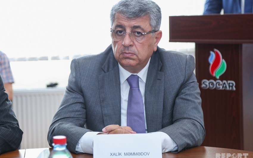 Халик Мамедов: Наши шаги не должны приводить к массовому сокращению работников