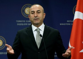 Глава МИД Турции выразил поддержку Грузии