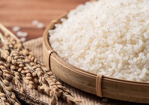 Russia extends rice export ban until June 30, 2024