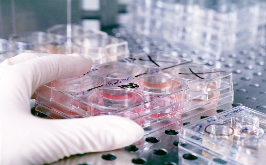 ​В Азербайджане будет создана медико-генетическая лаборатория