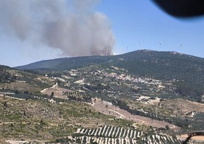 Türkiyənin Manisa bölgəsində meşə yanır, bir məhəllə təxliyə edilib