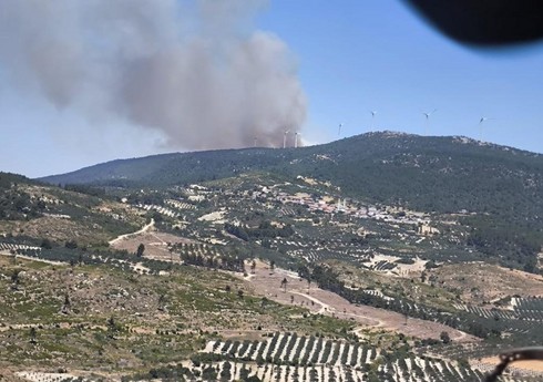 В турецкой провинции Маниса начался лесной пожар