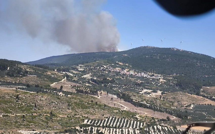 Türkiyənin Manisa bölgəsində meşə yanır, bir məhəllə təxliyə edilib