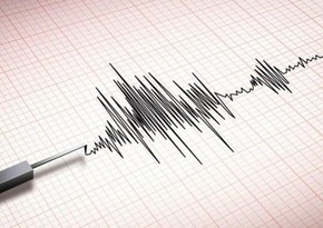 У японских островов Огасавара произошло землетрясение магнитудой 6,0