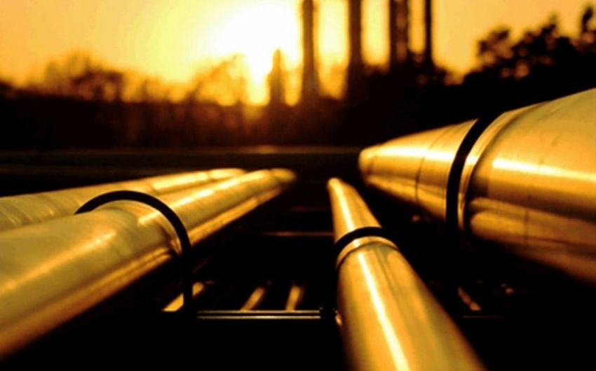 Sergei Skripka: Environmental permit for Brody-Adamova Zastava pipeline extended -  EXCLUSIVE