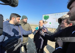 В Карабахе пройдет акция по посадке деревьев с участием представителей банковского сектора
