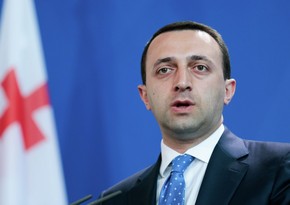 Гарибашвили: Грузия не планирует сворачивать с европейского пути