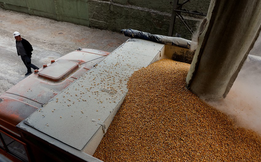 Ukraine proposes new corridor for grain export 