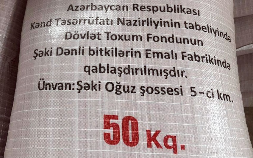 Dövlət Toxum Fondunun zavodlarında 1 000 ton toxum emal olunub