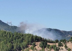 Helicopter crashes while battling wildfire in Türkiye