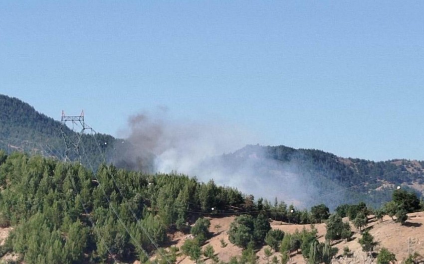 Helicopter crashes while battling wildfire in Türkiye