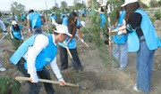 Leyla Aliyeva participates in another tree-planting campaign in Baku 