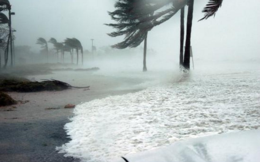 Более 2,3 млн жителей Флориды остались без электроснабжения из-за урагана