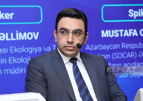 Faiq Mütəllimov: 