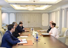 Mehriban Aliyeva meets with head of Iranian Islamic Culture and Relations Organization