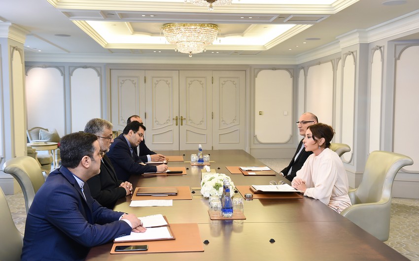 Mehriban Aliyeva meets with head of Iranian Islamic Culture and Relations Organization