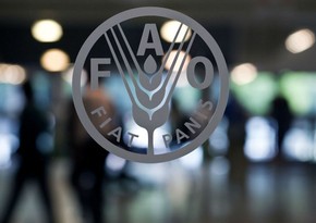 FAO: Мировые цены на продовольствие снижаются 6 месяцев подряд