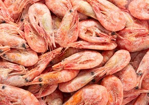 Azerbaijan spends over $2M on shrimp imports