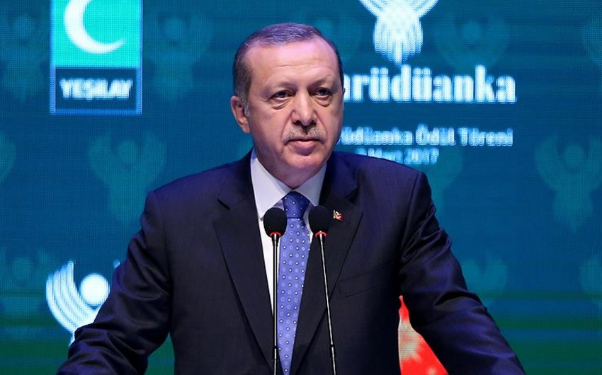 Президент Турции назвал арестованного журналиста агентом Германии