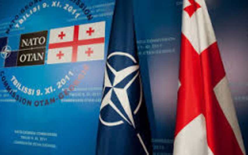 Госдеп поддержал членство Грузии в НАТО