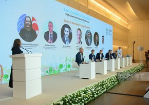 Panel session on Azerbaijan's energy transition concludes at Baku Climate Action Week