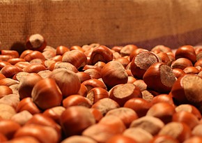 Azerbaijan imports 44 tons of hazelnuts from Georgia