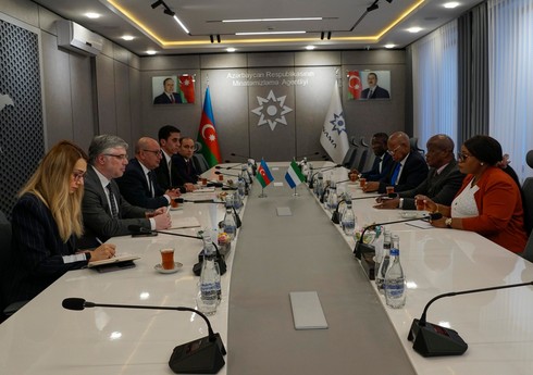 Посол Сьерра-Леоне поражен масштабом минной проблемы в Азербайджане