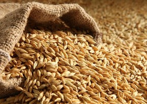 Азербайджан увеличил импорт пшеницы более чем на 52%