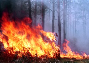 Fire breaks out in Hirkan National Park